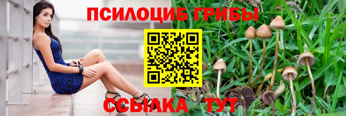 Туймазы  Псилоцибиновые грибы ЛСД  Вход с VPN 
