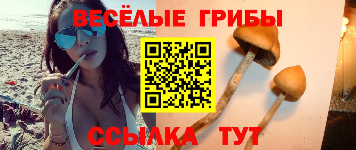 Галлюциногенные грибы ЛСД Туймазы